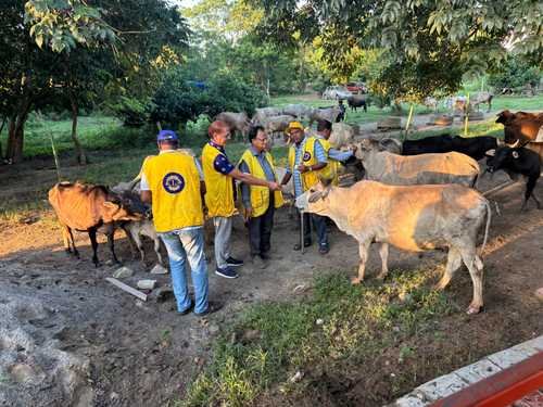 Feed the Animals by LCB New Horizon